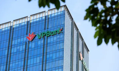 VPLife chính thức được cấp phép hoạt động