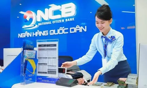 NCB sắp chào bán 3,3 tỷ cổ phiếu riêng lẻ, vốn điều lệ có thể vượt 62.000 tỷ đồng