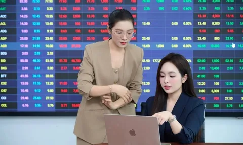 Lợi nhuận quý III/2026: Nhóm cao su ‘sáng cửa’, lọat doanh nghiệp BĐS ‘cài số lùi’