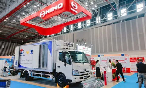 Ô tô Trường Long bế tắc với 'bài toán' tư cách đại chúng