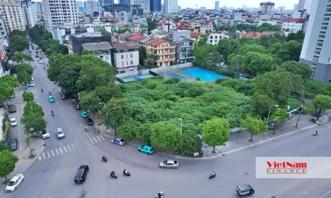Đề xuất đánh đất bỏ hoang, cao gấp gần 7 lần đất ở trong hạn mức