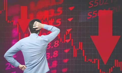 KOS giảm sàn 18 phiên liên tiếp: Nhìn lại những cú lao dốc kỷ lục trên sàn chứng khoán