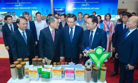 PVFCCo – Phú Mỹ lần thứ 7 liên tiếp đạt Thương hiệu quốc gia Việt Nam