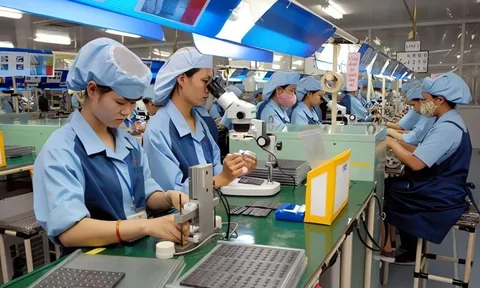 'Không thể ứng xử với DN ngừng hoạt động như DN trốn thuế'