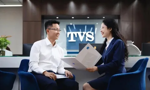 Chứng khoán Thiên Việt: Tự doanh chịu sức ép, lợi nhuận suy giảm 81%