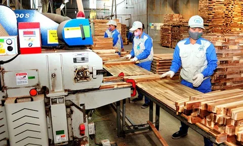 7 nhóm hàng xuất khẩu Việt Nam đối mặt rủi ro phòng vệ thương mại