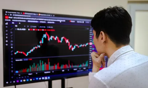 Ngược chiều lợi nhuận công ty chứng khoán: Chỗ tăng bằng lần, nơi lao dốc mạnh