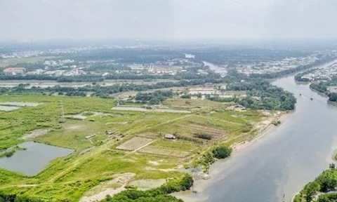 Trọng tài từ chối yêu cầu hoãn xử của Công ty Suny Island, tiếp tục xét xử tranh chấp hợp đồng với Quốc Cường Gia Lai