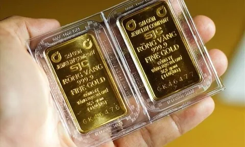 Giá vàng lại tiếp tục lao dốc