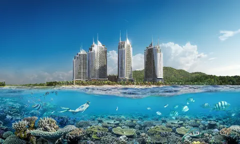 Điều ít biết về Crystal Bay: Doanh nghiệp sở hữu dòng khách lớn