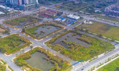 Yêu cầu báo cáo việc cấp tín dụng cho doanh nghiệp đấu giá đất Thủ Thiêm