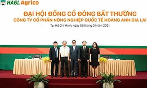 Ông Trần Bá Dương kiêm thêm chức Chủ tịch HĐQT HAGL Agrico