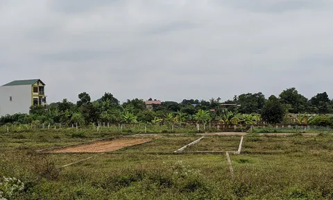 Giá đất nông nghiệp nhiều nơi tăng nóng