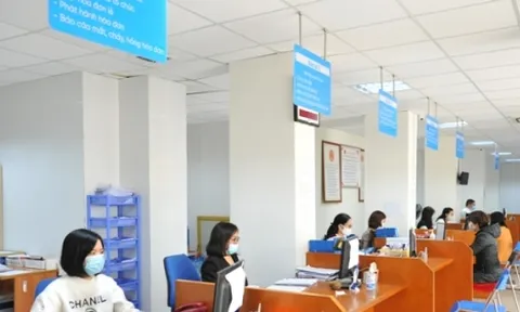 Năm 2022, ngành thuế hỗ trợ người nộp thuế duy trì và phục hồi sản xuất kinh doanh
