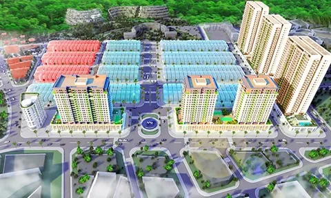 12ha đất vàng giao dự án Mipeco không thông qua đấu giá: Cần làm rõ trách nhiệm