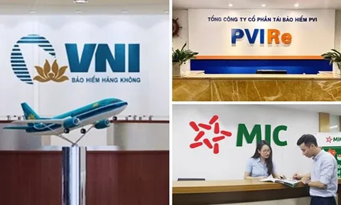 Sức khỏe loạt doanh nghiệp bảo hiểm vừa 'đổ bộ' lên sàn chứng khoán tốt xấu ra sao?