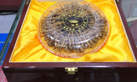 Quà Tết giá "khủng", chỉ giới đại gia mới dám chi tiền: Có gì bên trong mà giá tới cả tỷ đồng/kg?