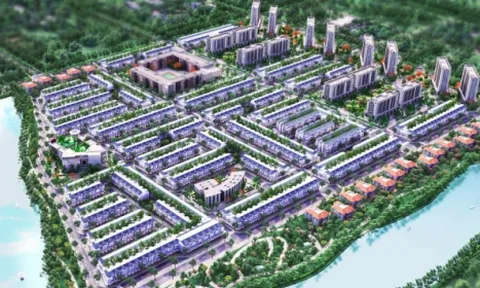 CEO Group lỗ hơn 100 tỷ đồng trong 2020