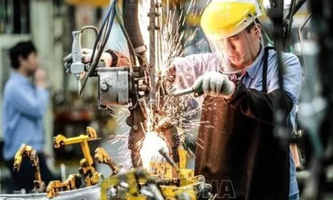 Doanh nghiệp châu Âu tự tin về triển vọng kinh doanh tại Việt Nam