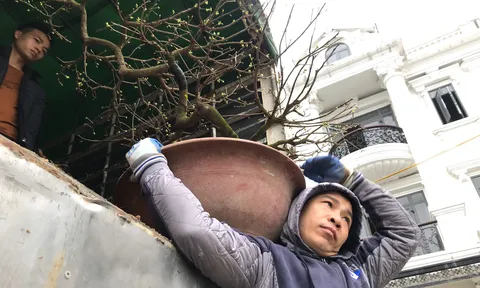 Kiếm tiền triệu mỗi ngày nhờ "chuyển Tết đến mọi nhà" những ngày cuối năm