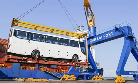 THACO xuất khẩu hơn 200 ôtô và linh kiện phụ tùng trong ngày ra quân đầu năm tân sửu