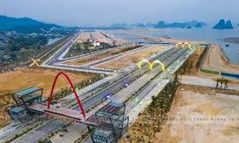 Quảng Ninh: Lấn chiếm đất, một doanh nghiệp bị phạt 100 triệu đồng