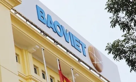 Năm 2020: Nợ phải trả tại BVH gấp 6 lần vốn chủ sở hữu