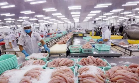 Gần 700 doanh nghiệp Việt được phép xuất khẩu thủy sản vào Đài Loan