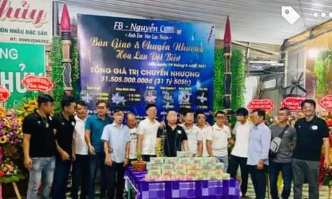 Thương vụ "chuyển nhượng lan đột biến giá hơn 31 tỷ đồng" là giả