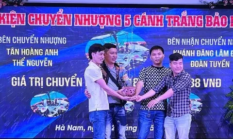 Quản lý thuế đối với giao dịch 'lan đột biến'