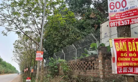 "Sốt đất" hạ nhiệt, đua nhau bán cắt lỗ
