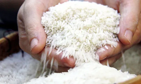 Gạo Việt Nam bán tại Anh hầu hết đều mang thương hiệu của nhà phân phối