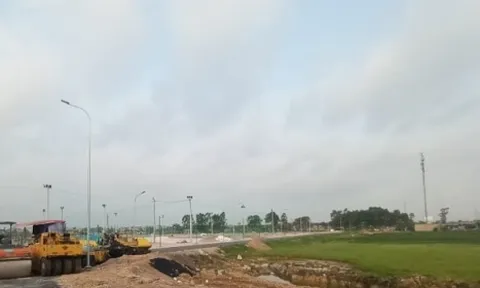 Bắc Ninh: Chủ đầu tư Dự án khu nhà ở thôn Mẫn Xá lách luật, bán lúa non ra thị trường?