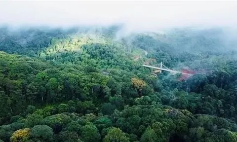Sẽ thu hồi các dự án treo ở Măng Đen