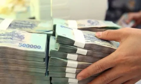 Năm 2021 thoái vốn Nhà nước tại Sabeco, Nhựa Tiền Phong, FPT,…