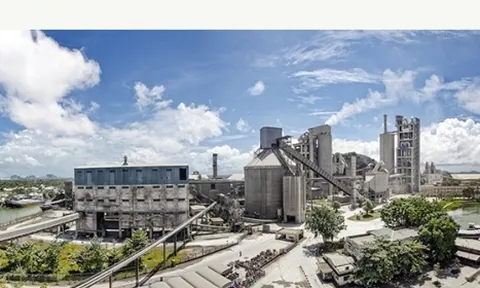 Vicem Hà Tiên quý I/2021, dòng tiền âm 850 tỉ đồng