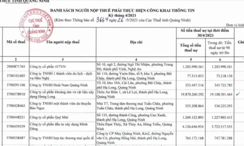 Quảng Ninh công khai 291 doanh nghiệp nợ thuế, Khách sạn Vịnh Hạ Long nợ tới hơn 140 tỷ đồng