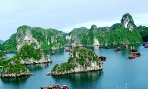 Quảng Ninh: Miễn vé tham quan vịnh Hạ Long để cứu đội tàu du lịch nghìn tỷ