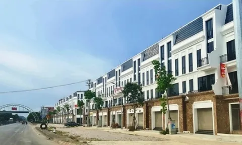 Thanh Hoá: Có “ưu ái” cho Công ty Hải Hà chia lô, bán nền không thông qua đấu giá?