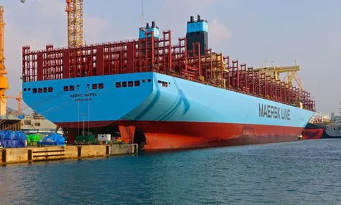 Hãng vận tải container lớn nhất thế giới dự kiến khai trương tuyến đường biển qua Việt Nam vào tháng 8/2021