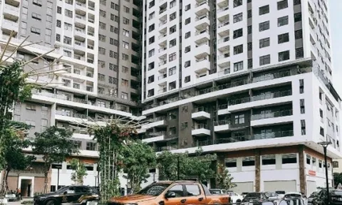 Đà Nẵng: Yêu cầu xác định nghĩa vụ tài chính khu nghỉ dưỡng Monarchy