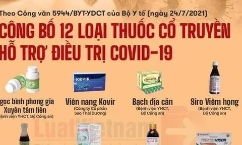 Chuyên gia Ngô Trí Long: Lợi dụng tăng giá thuốc cổ truyền điều trị Covid-19 là tội ác