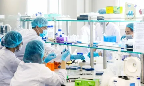 Vingroup xây dựng nhà máy sản xuất vắc-xin 200 triệu liệu/năm tại Hòa Lạc