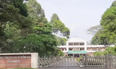 Sai phạm tại nhiều dự án ở Đồng Nai gây thất thu ngân sách nhà nước