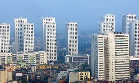 'Bán lúa non', chủ đầu tư dự án có thể bị phạt 800 triệu đồng
