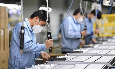 3 cái tên đầu tiên tại Tp.HCM được vay lãi suất 0% để trả lương thôi việc cho lao động