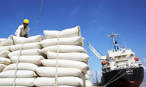 Xuất khẩu gạo Châu Á khó khăn, giá trì trệ do cước vận tải quá cao và thiếu tàu