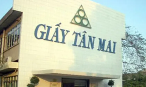 Liên tục nợ thuế, Tập đoàn Tân Mai xin chuyển hơn 118 ha đất rừng làm dự án khu dân cư
