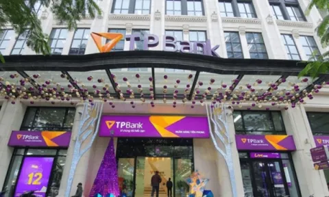 Điện lực - TKV, thư ký ABbank và một cá nhân liên quan đến kế toán trưởng TPbank bị phạt