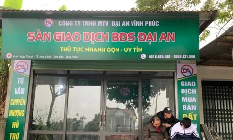 Vĩnh Phúc: Bắt nữ giám đốc gom đất nông nghiệp vẽ khu đô thị lừa bán cho nhiều người